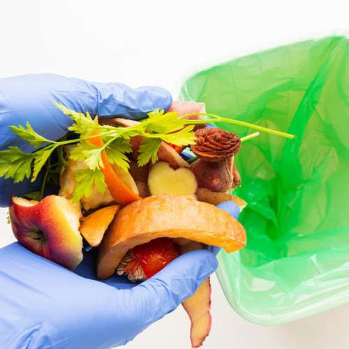 22 Harnessing the Power of Preservation The Role of Canned Foods in Reducing Food Waste-02.jpg